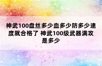 神武100盘丝多少血多少防多少速度就合格了 神武100级武器满攻是多少